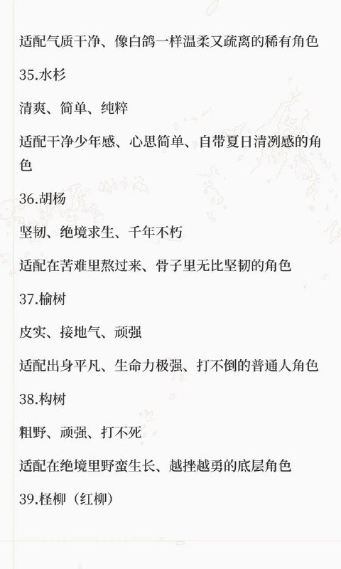 树木系设定
